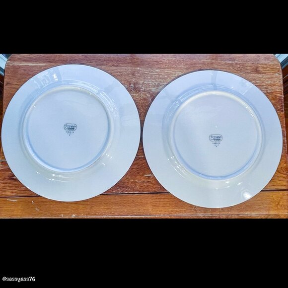 ▪️VTG▪️NORITAKE▪️Set of 2 CAROLYN Pink Blue Floral Platinum Trim Dinner Plates - Picture 4 of 5